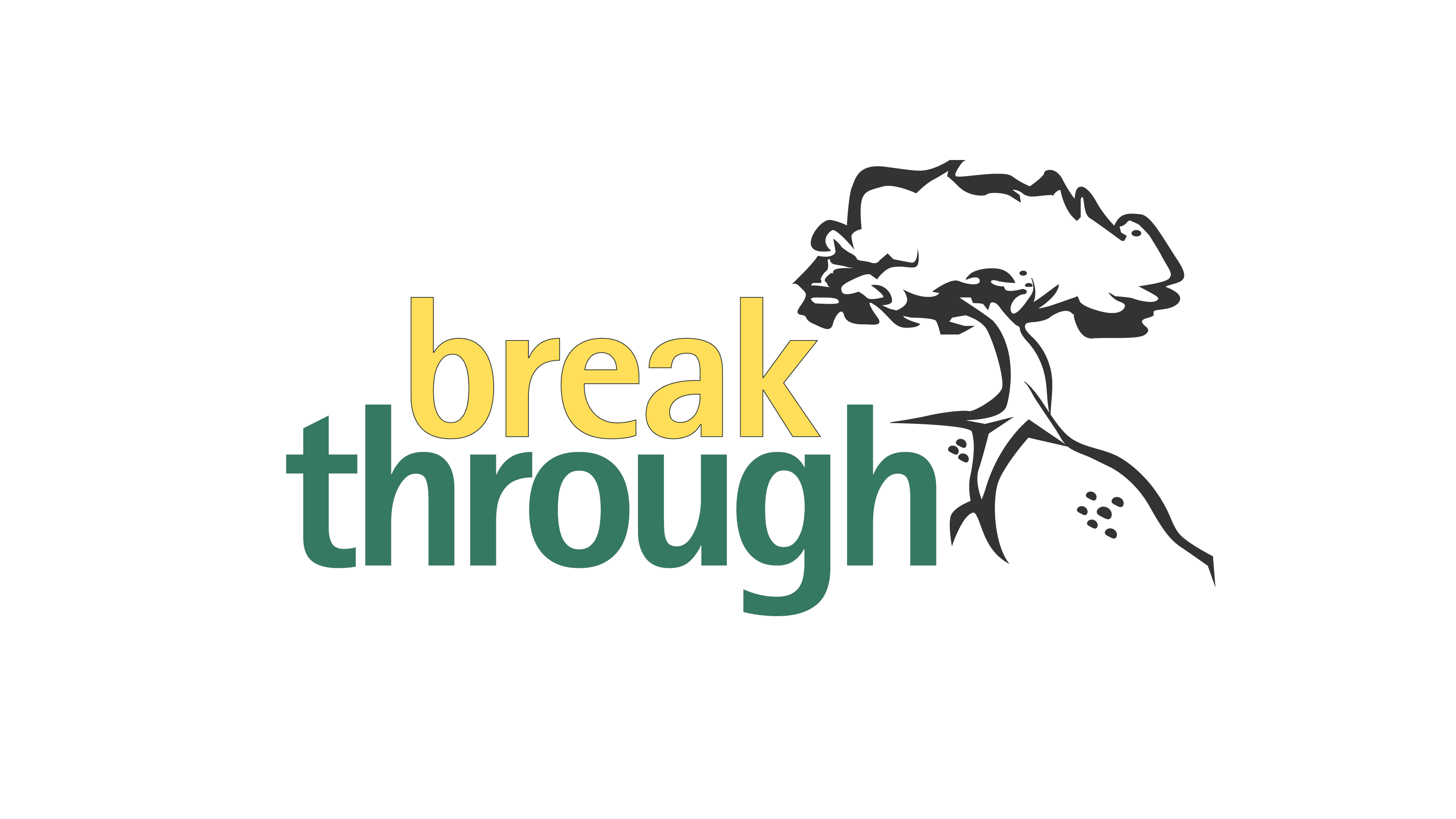 Breakthrough