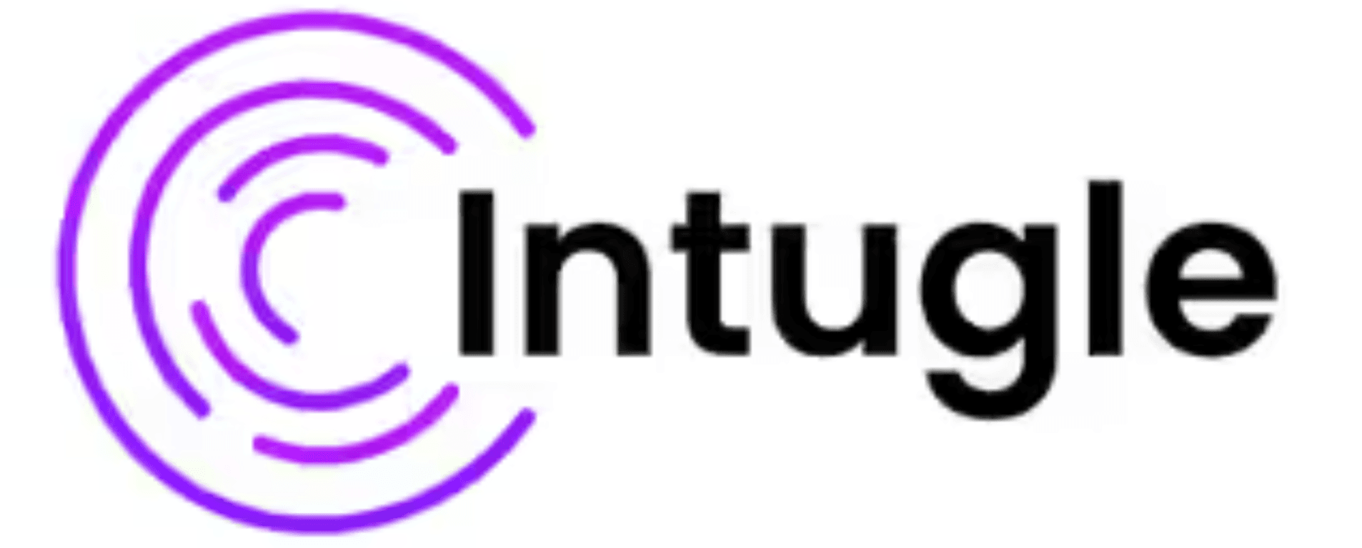 Intugle