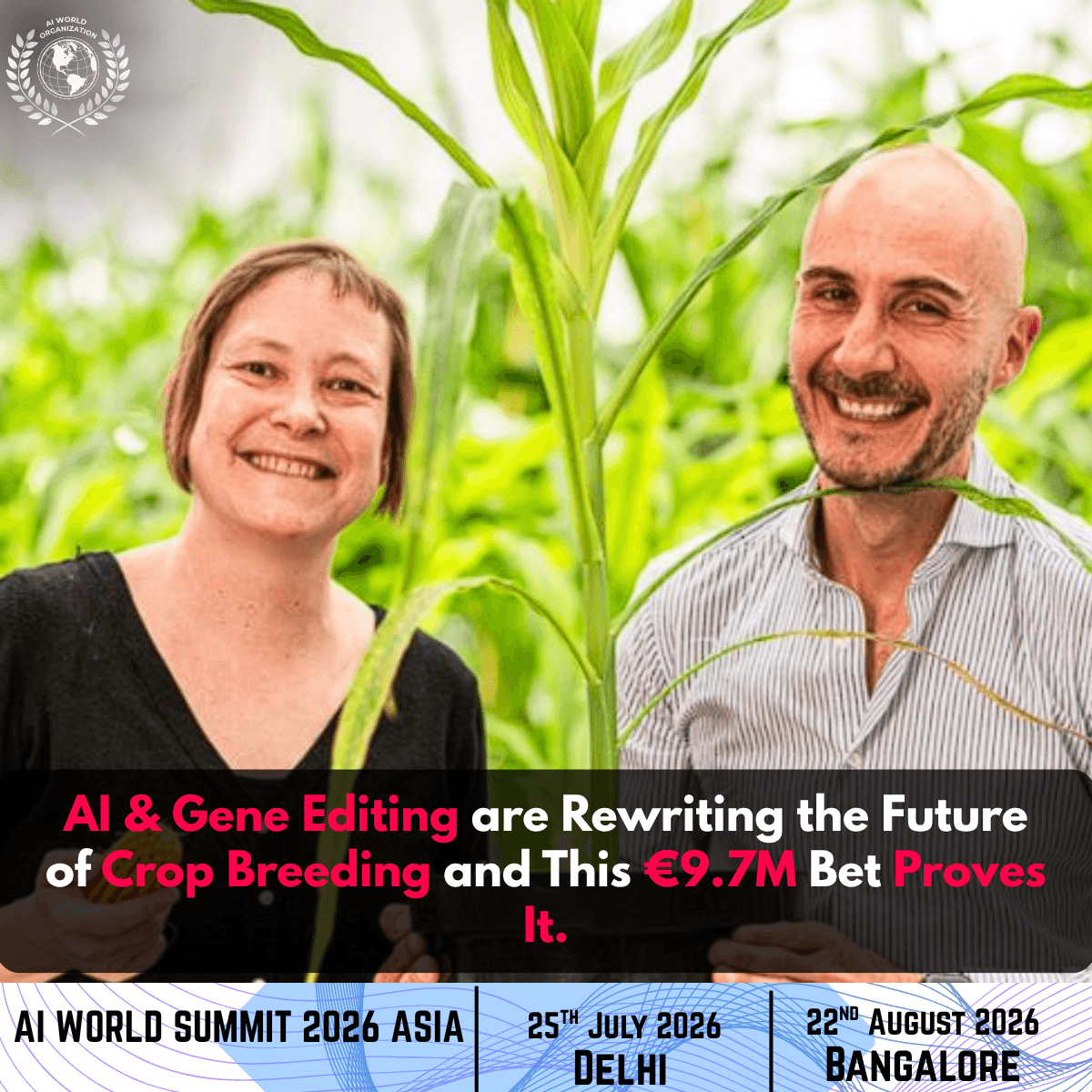 Rainbow Crops Raises €9.7M for AI Crop Gene Editing
